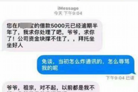 分宜专业讨债公司有哪些核心服务？