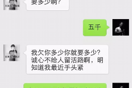 分宜分宜的要账公司在催收过程中的策略和技巧有哪些？